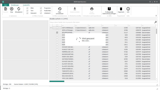 GRÜN Data Recovery Freeware Screenshot 4