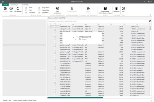 GRÜN Data Recovery scannt